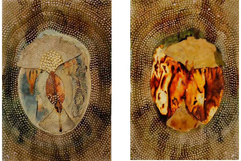 26535167685_ef168eeef1_b