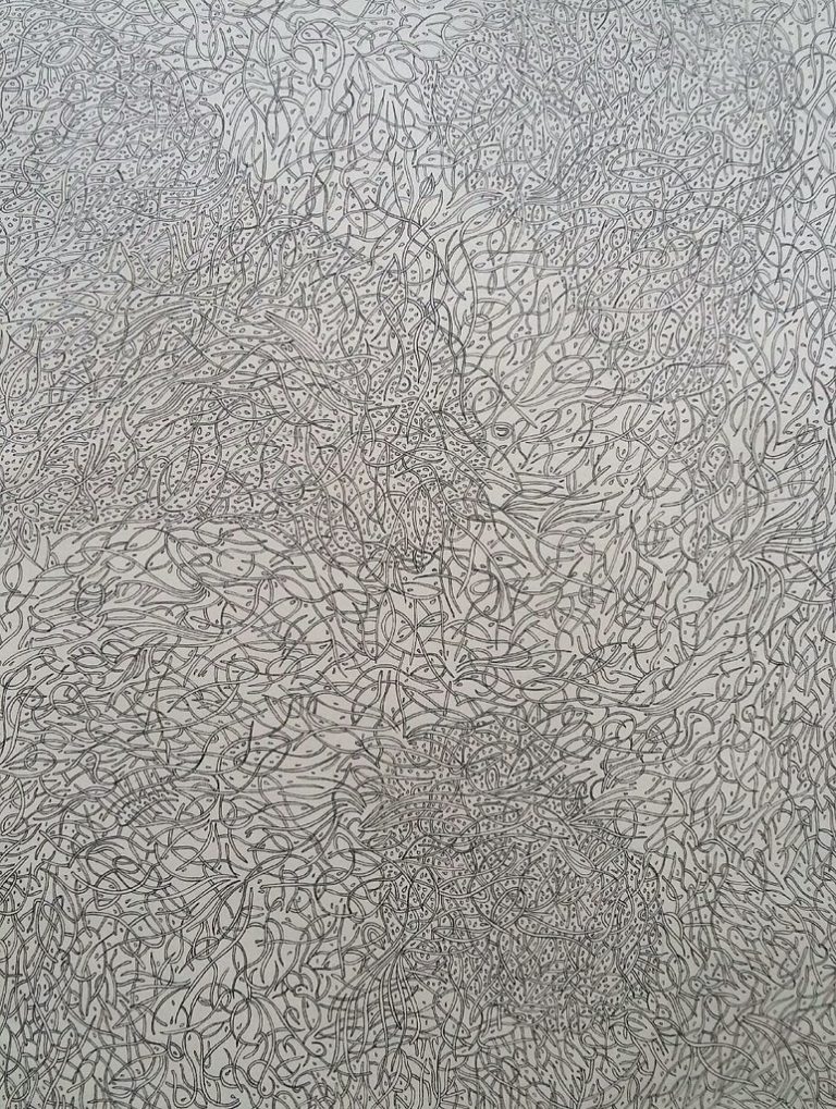36862583985_8285124bbb_b