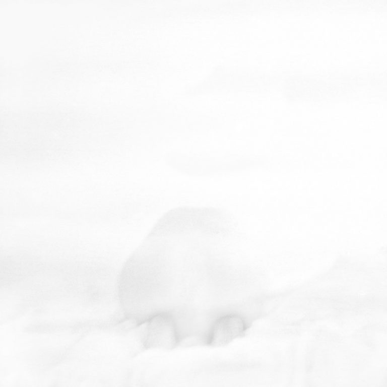 AZ-27-image