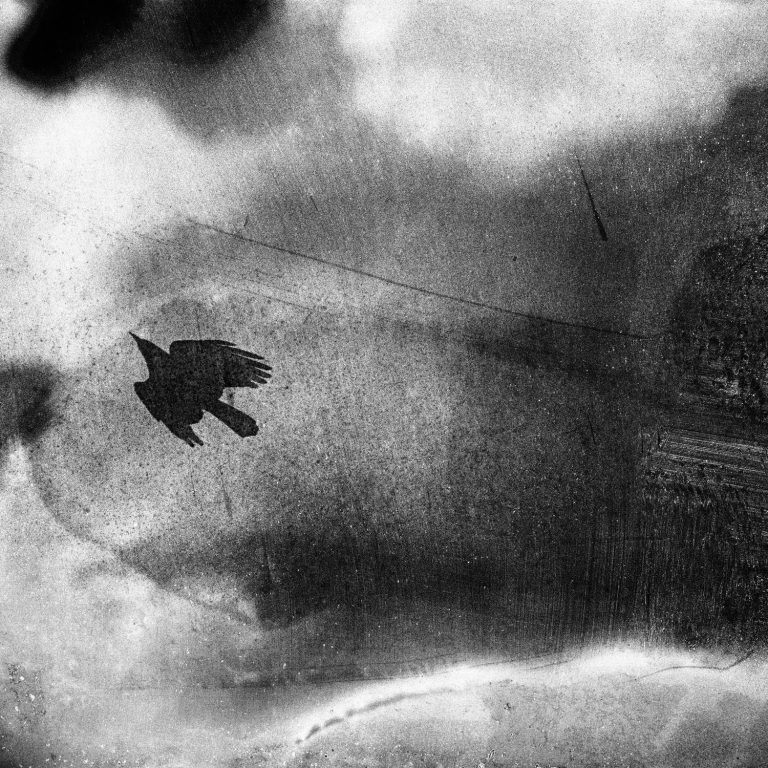 AZ-29-image