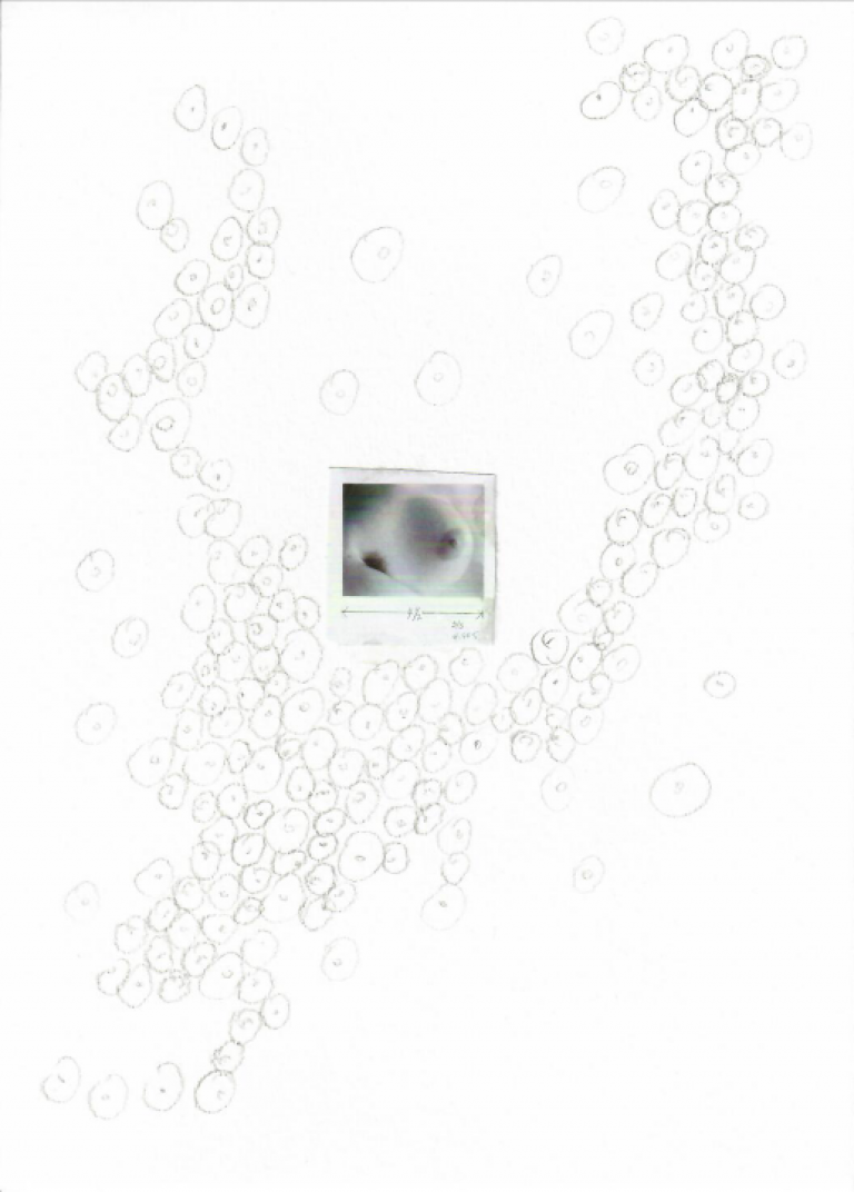 AZ-98-image