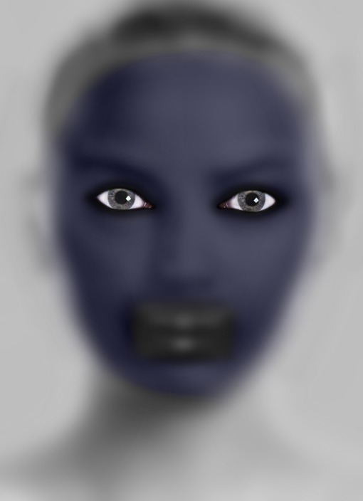 HAK-332-image