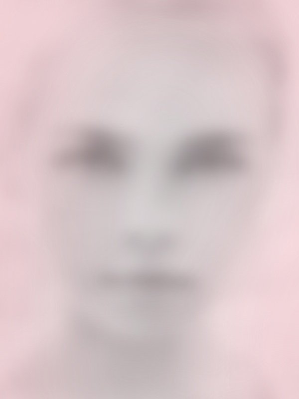 HAK-333-image