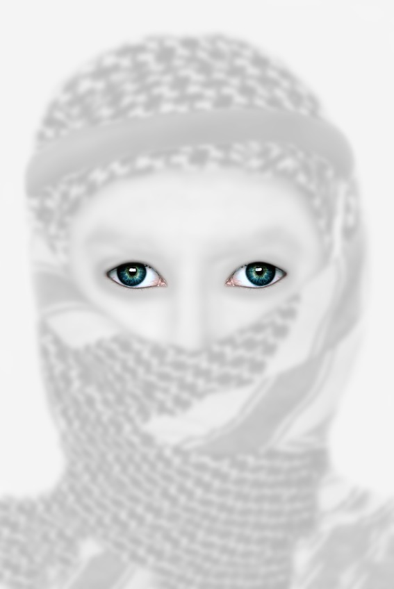 HAK-336-image