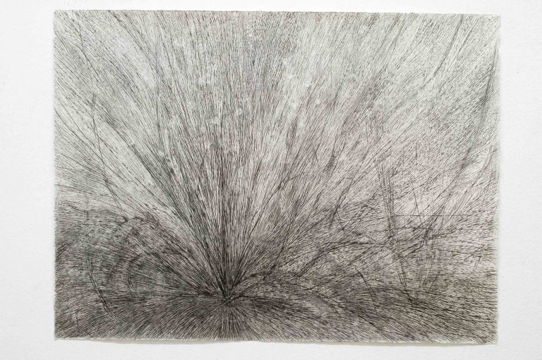 HM-005-image
