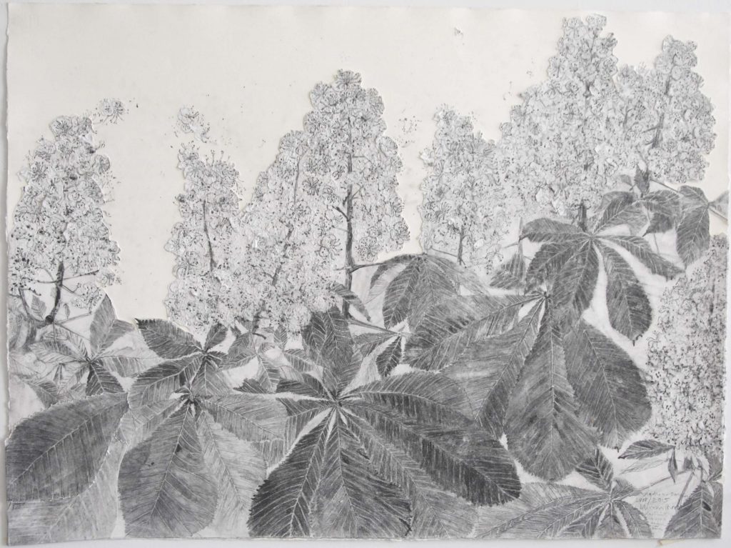 Miriam Humer Chestnut 1 2008_2015-min