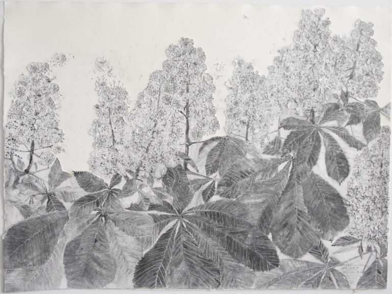 Miriam Humer Chestnut 1 2008_2015-min