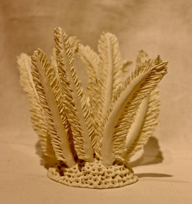 POM-1-image