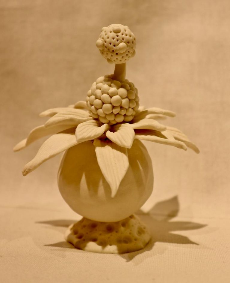 POM-18-image