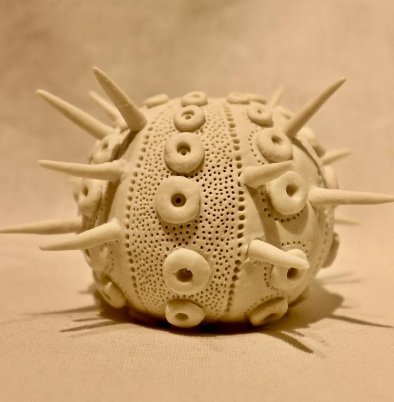 POM-19-image