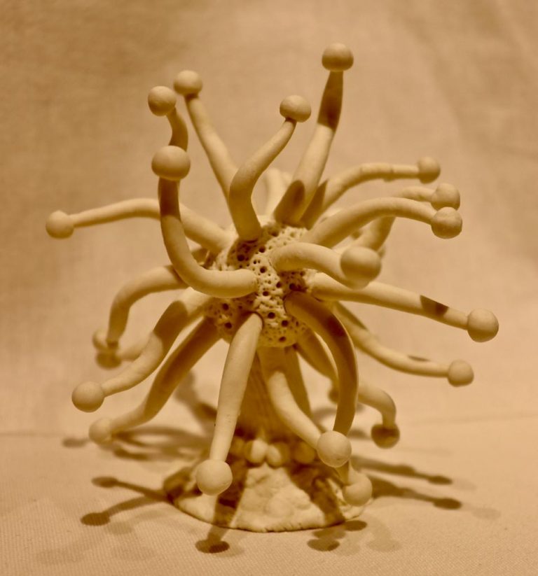 POM-3-image
