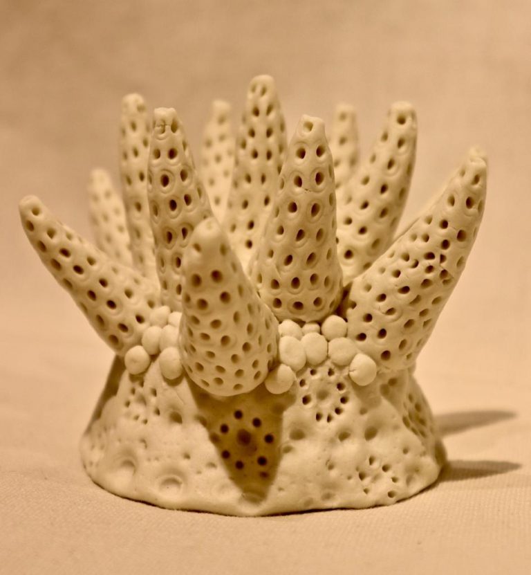 POM-9--image