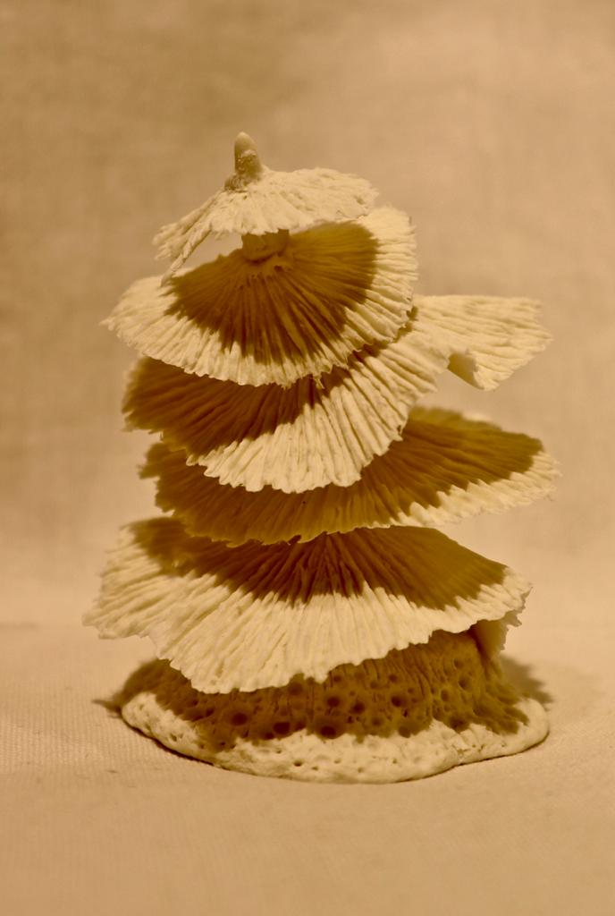 Pom Mullan Untitled 0
