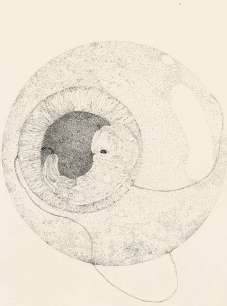 e08f97faa002e7f591b53a52758867e3j
