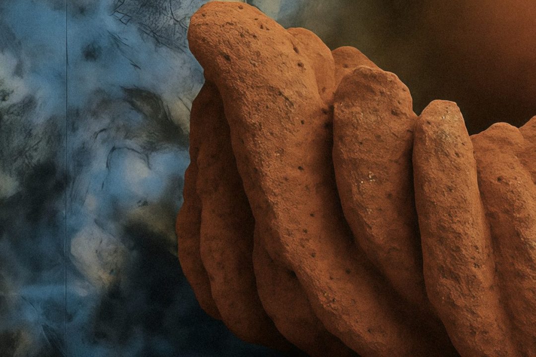 “Paintings of Nowhere” by Richard Ketley, and “Rooted” by Alejandra Palos