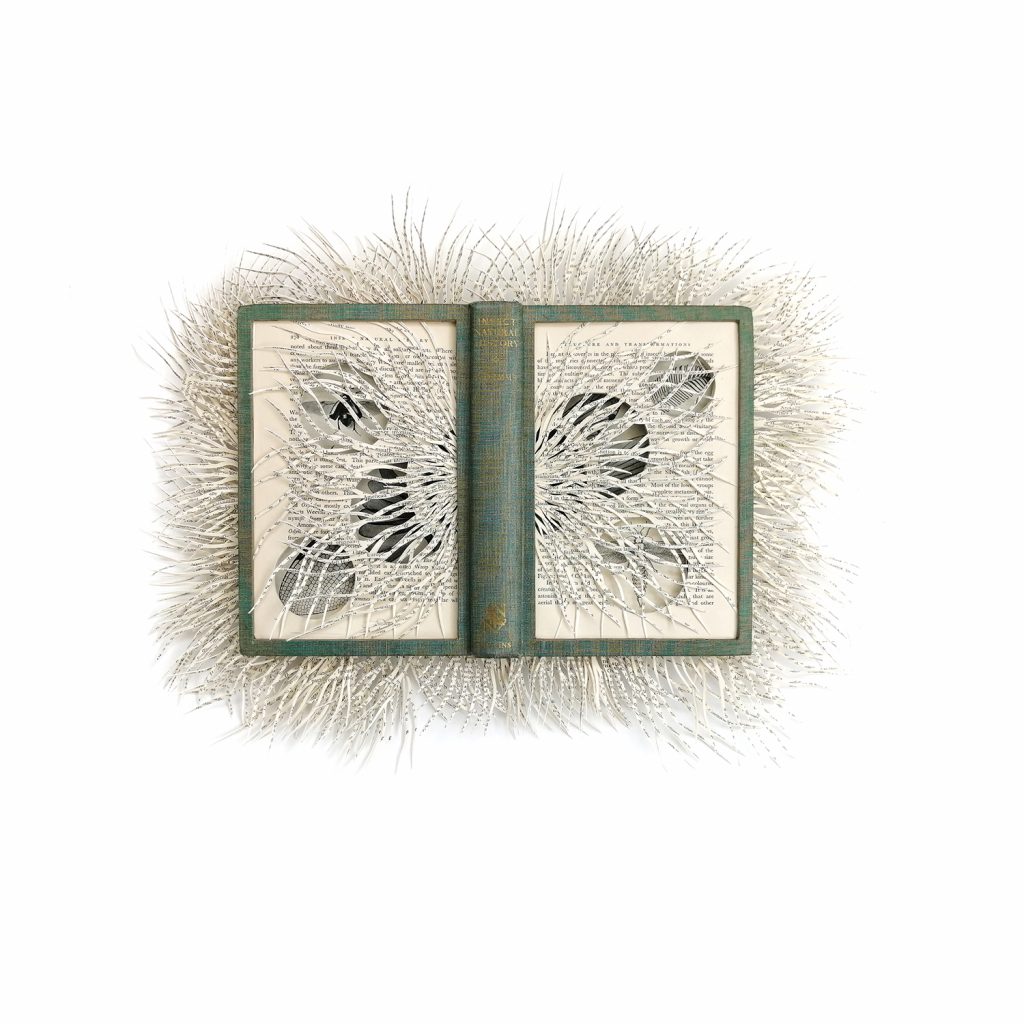 BBW-15-image,nsect Natural History, 2020 Altered Book 53 x 64 x 5 cm