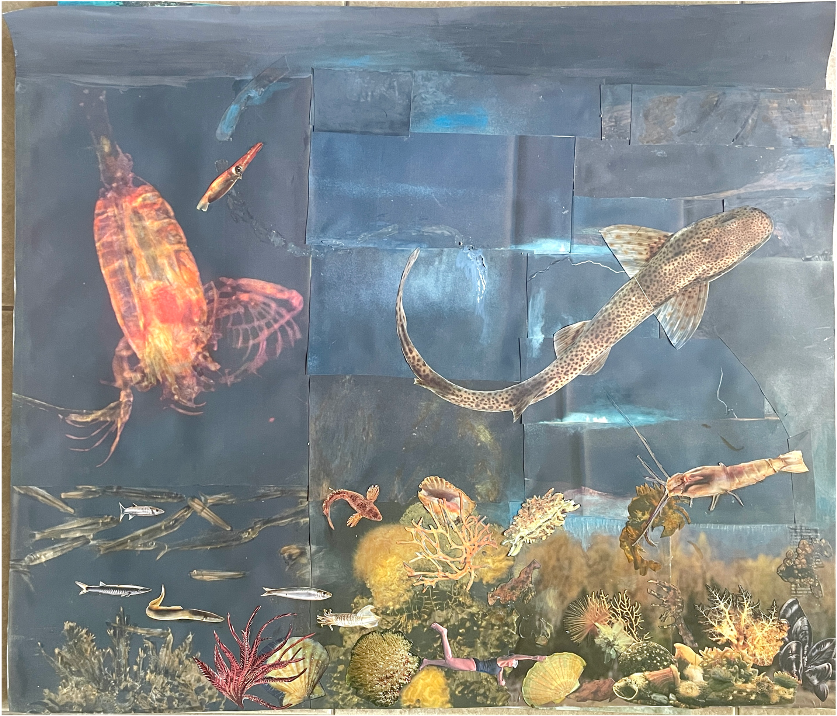 ED-032-image,Journey under the sea series , 2023 Collage and drawing on paper 80 x 94 cm