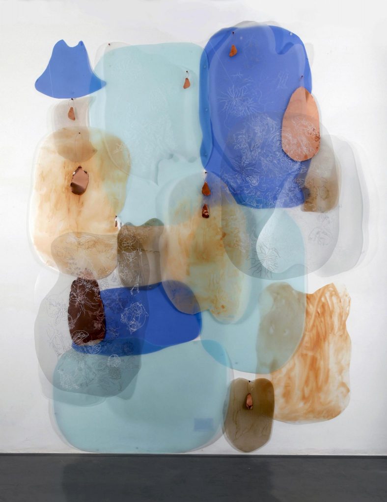 ED-037-image,SCALA NATURAE E EU, 2012 Synthetic foil, fragments of x-ray & drawings 400 x 160 cm