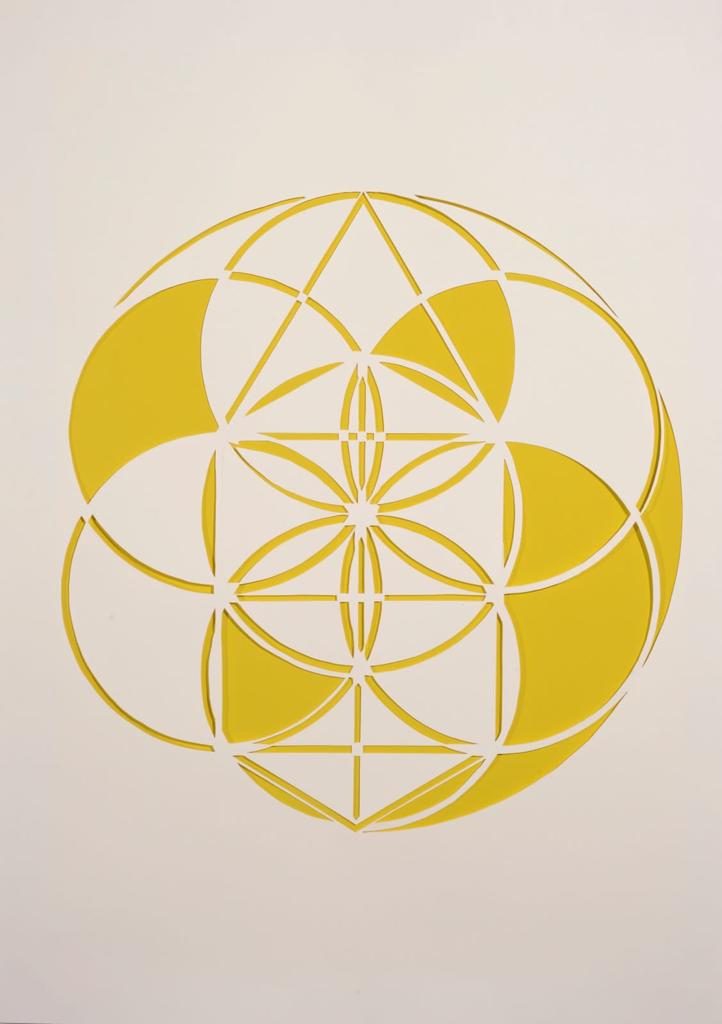 HMS-016-image,2017 papercut on paper 59 x 84 each