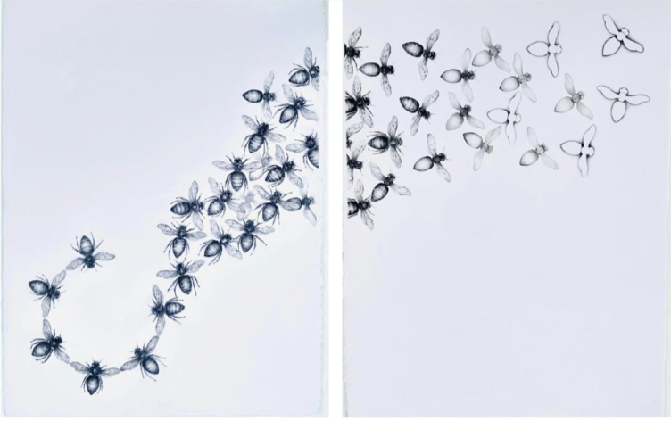 HMS-018-image,Erasure 76 x 58 cm (each) - diptych