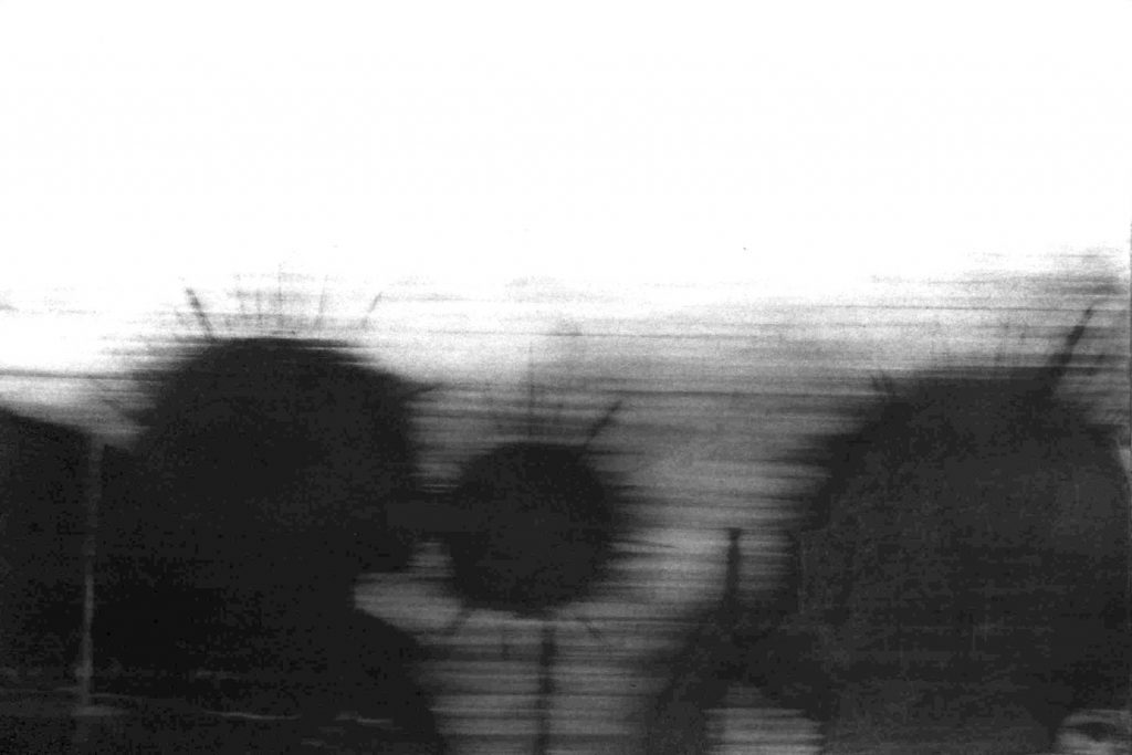 IC-10-image,Untitled 10, 2011 Certificate of Authenticity Graphite on paper 76 x 110 cm 89 x 126 cm With the frame