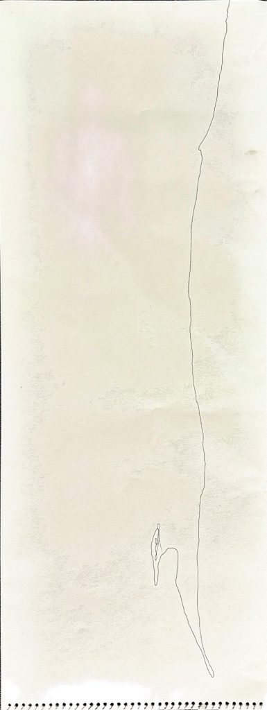MAT-11-image,Bird Flight, 2009 Signed & dated Felt tip on paper 27 x 72 cm