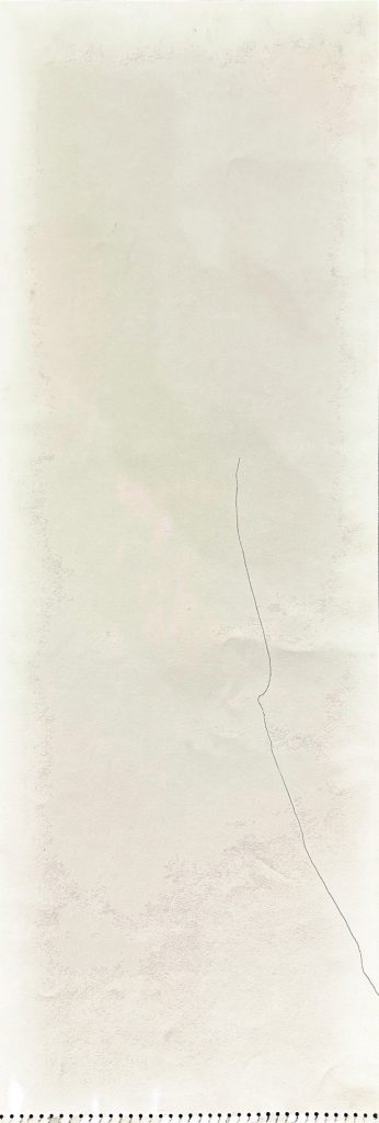 MAT-9-image,Bird Flight, 2009 Signed & dated Felt tip on paper 27 x 72 cm