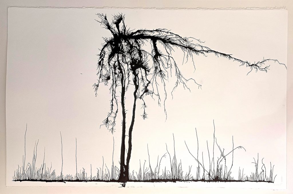 MH-12-Untitled, 2009 Ink on paper 64 x 102 cm