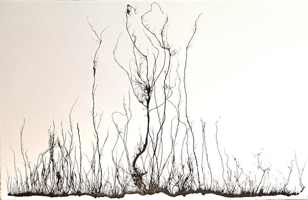 MH-66-Untitled, 2009 Ink on paper 64 x 102 cm