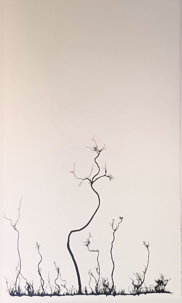 MH-70-Untitled, 2009 Ink on paper 102 x 64 cm