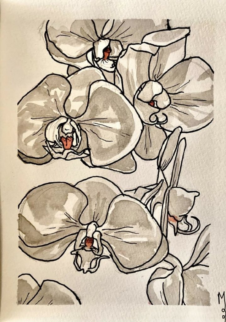 MMO-009-image,Orchids, 2021 Ink on Paper 12,5 x 17,5 cm