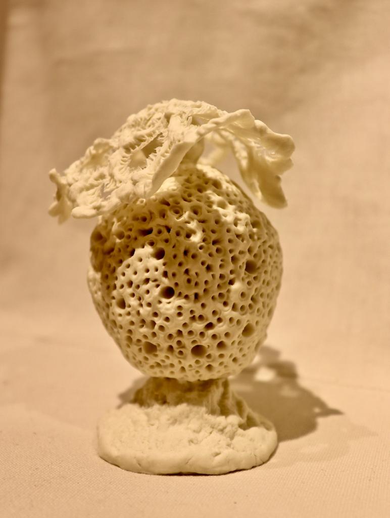 POM-20-image,Untitled