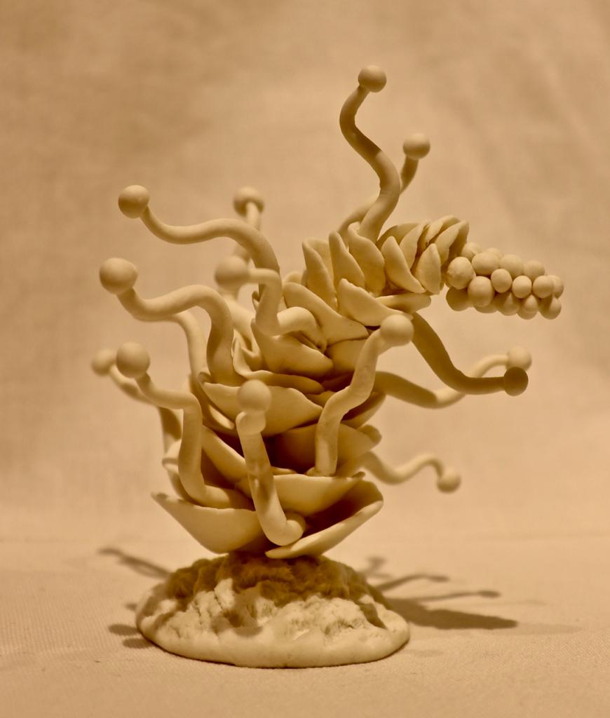 POM-24-image, cover pho,Untitled