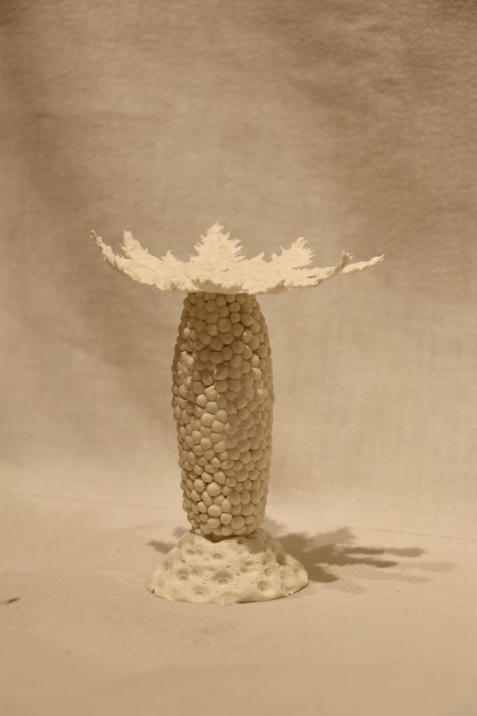 POM-54-image,Sea Wonders Series, 2019 - 2022 Porcelain paper clay, fired at 1260°C 11 x 8 x 8 cm