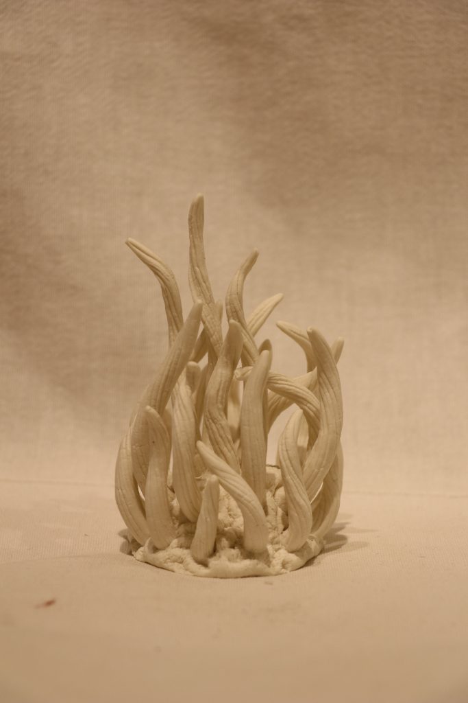 POM-68-image,Sea Wonders Series, 2019 - 2022 Porcelain paper clay, fired at 1260°C 11 x 7 x 8 cm