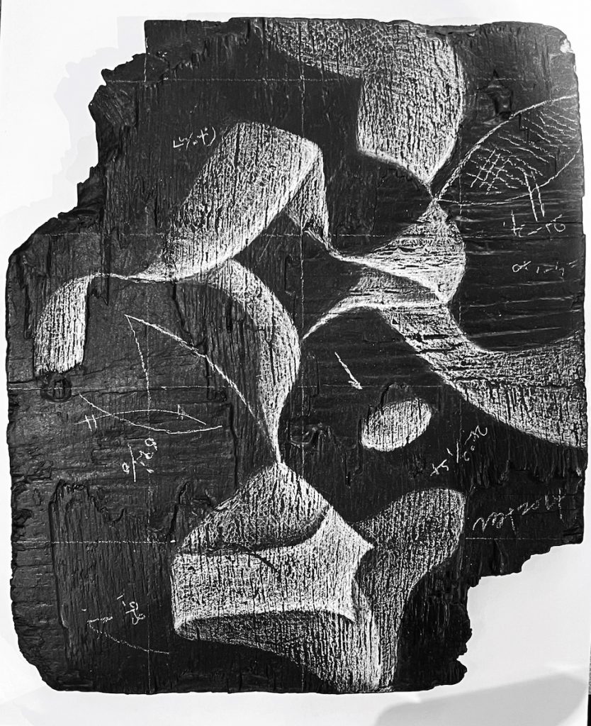 YT-31-image,fragmdent, 2014 paint,colored white pencil, wooden board Yes